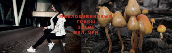 эйфоретик Горно-Алтайск