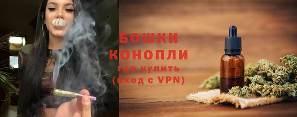 Альфа ПВП Горняк