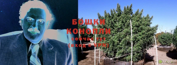 Альфа ПВП Горняк