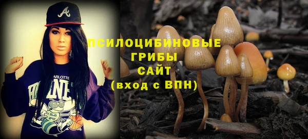 таблы Горнозаводск