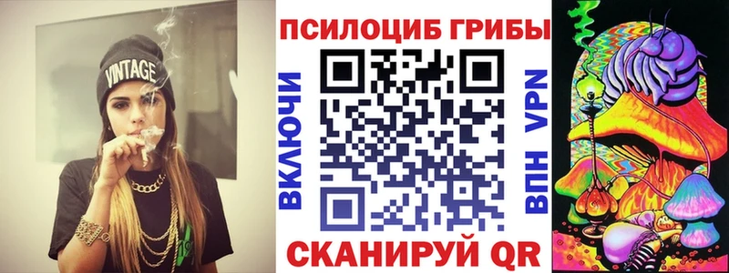 Псилоцибиновые грибы ЛСД  Купить закладки  Нюрба 